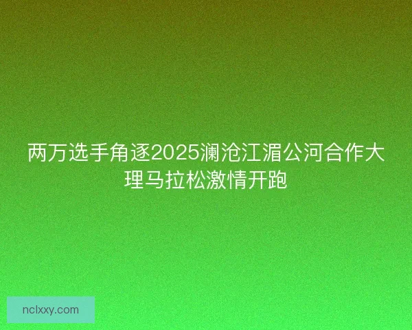 两万选手角逐2025澜沧江湄公河合作大理马拉松激情开跑