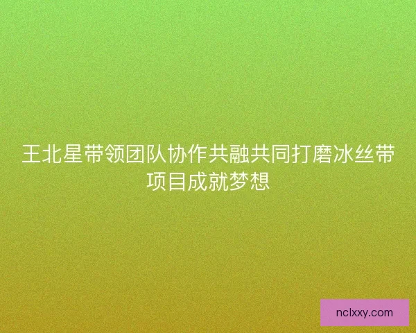 王北星带领团队协作共融共同打磨冰丝带项目成就梦想